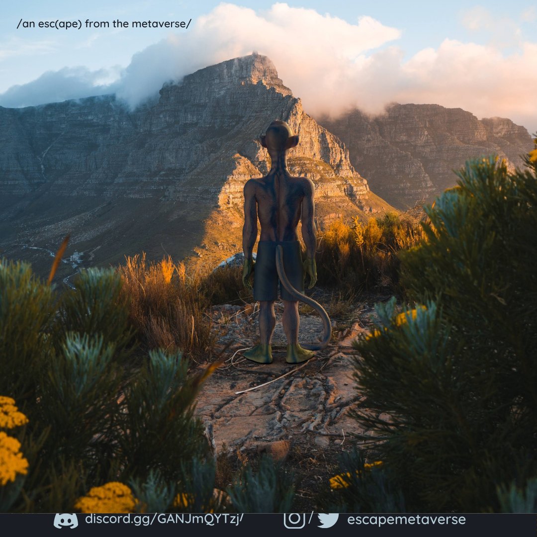 escapemetaverse's tweet photo. The uniqueness of every NFT collection is what makes them successful, and when you add a one-of-a-kind experience like an ape's POV, it's even more interesting. 

Do you agree? 
👀🐒

https://t.co/wgONW1ldEp

#metaverse #anescape #anescapeclub #NFTs #NFTowners #digitalworld https://t.co/D15ROYGrtl