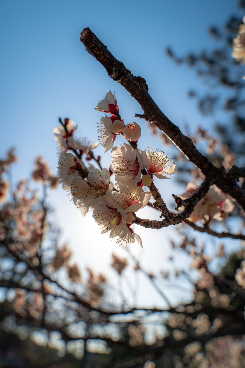 AguideMonsieur's tweet photo. Bon week-end à vous 👏🇯🇵 https://t.co/DM2BnsRdKW