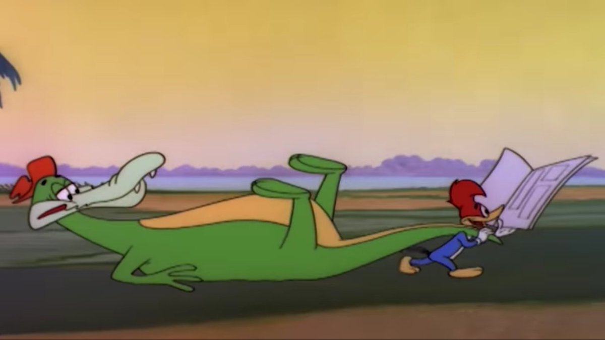 WoodpeckerLoco's tweet photo. Pasé muchos meses en la Florida, en donde logré cazar mi primer lagarto.

Fácilmente podré hacer con él, 5 maletas grandes. https://t.co/mZLOcC8Tvg