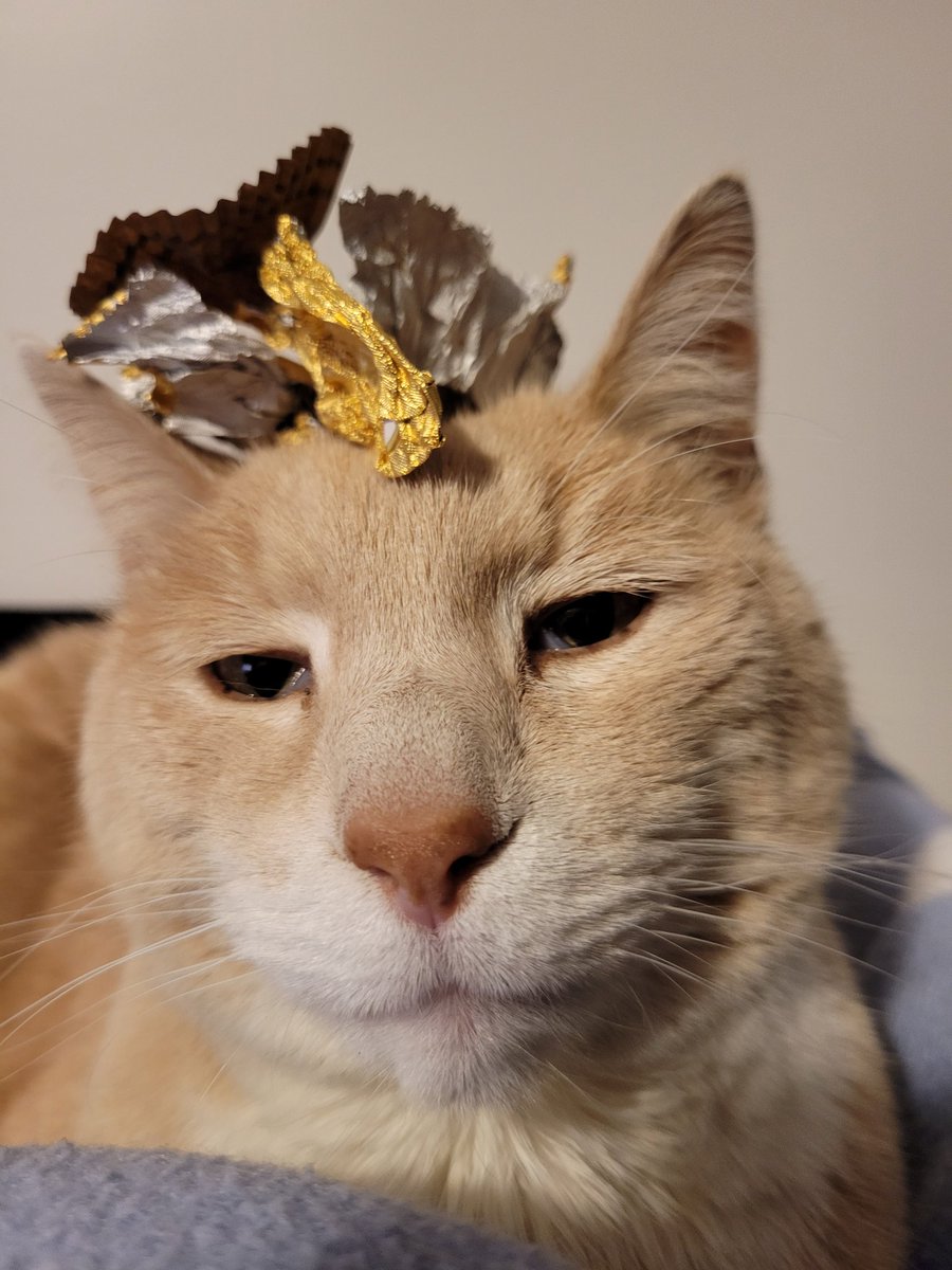 jenthewordsmith's tweet photo. The shit he puts up with lol
#CatsOfTwitter #bestfloof #writingcompanion https://t.co/FQ4Mp1i2OJ