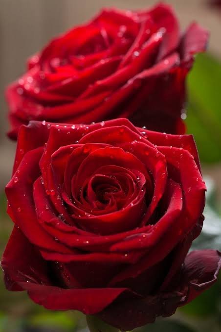 Love this 🤍❤️