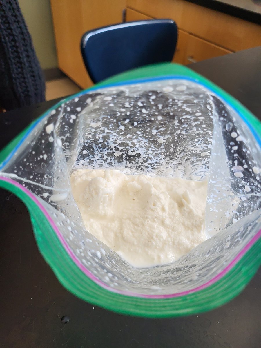 Sarah Elwin tweet media