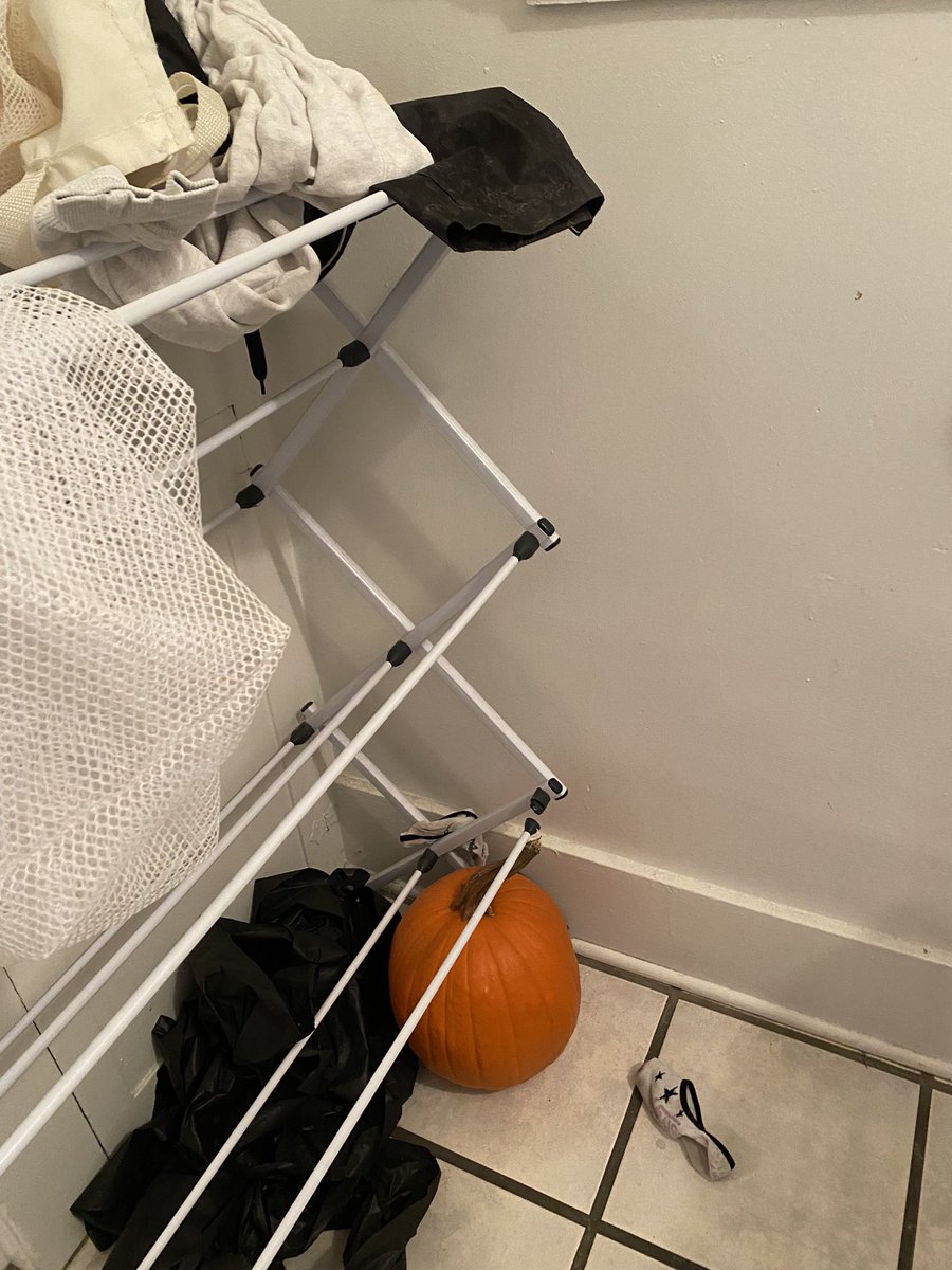 maipebble's tweet photo. this pumpkin was spared and left uncarved back in october and has struggled to find his purpose in the world since then. his family is long-rotten, the next gen is still on the vine. for now he’s sitting it out in the laundry room, trying to make friends but feels out of place https://t.co/3gLEBXoQvH