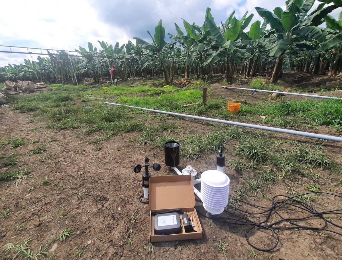 elandivar's tweet photo. #Yubox :: Instalación de solución de #Agricultura de precisión para #BANANO. Redujimos costes con una solución de monitoreo especializada #IoT. diseñado en #Latam #Ecuador. Hablaremos de esta y otras soluciones en el Webinar gratuito del próximo Jueves. https://t.co/2Iuu91BD86 https://t.co/fA4rbkVLPG