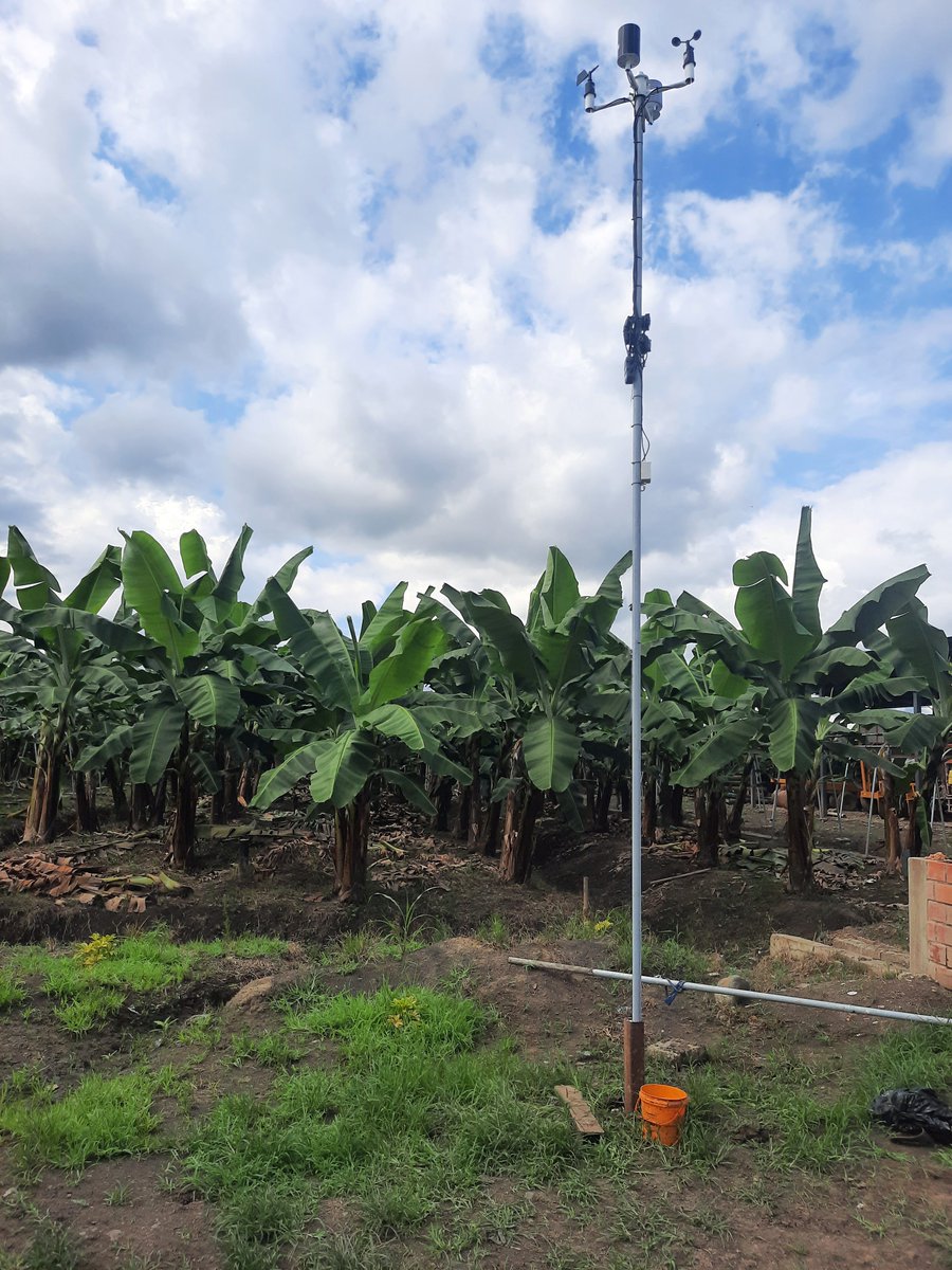 elandivar's tweet photo. #Yubox :: Instalación de solución de #Agricultura de precisión para #BANANO. Redujimos costes con una solución de monitoreo especializada #IoT. diseñado en #Latam #Ecuador. Hablaremos de esta y otras soluciones en el Webinar gratuito del próximo Jueves. https://t.co/2Iuu91BD86 https://t.co/fA4rbkVLPG