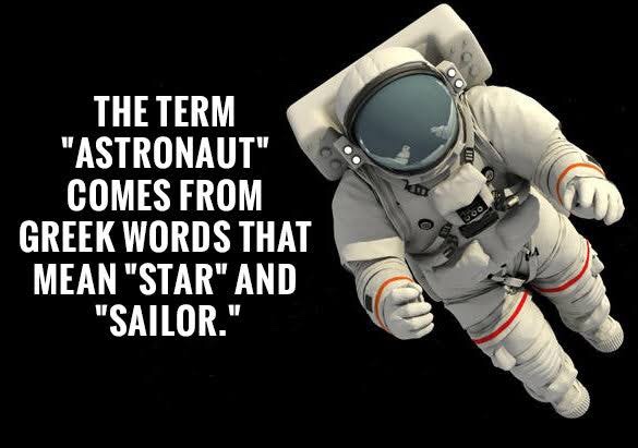 FunFacts0753's tweet photo. FUN FACT #12 https://t.co/k6HfY7FDGJ