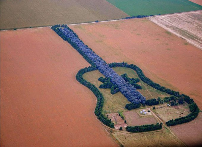 crockpics's tweet photo. A man from Argentina planted a guitar-shaped forest of 7,000 trees, and more than 1km in length, in memory of his wife who loved music.View from Google Maps.Estancia La Guitarra. https://t.co/zj9ar4bxcM