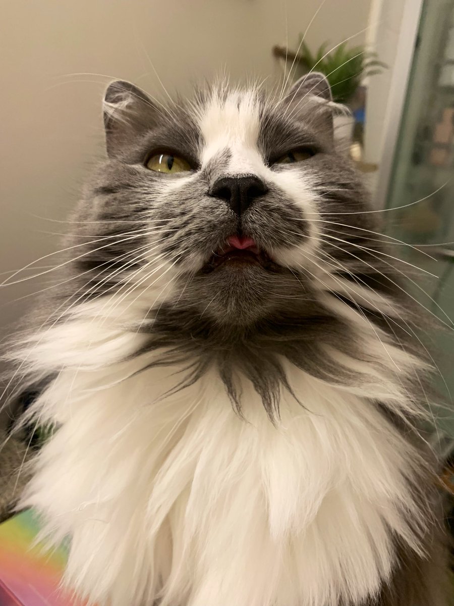 Not sure who needs this but…