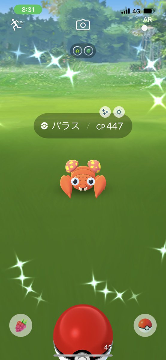 パラス Twitter Search Twitter