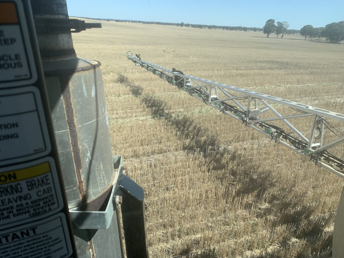 Spot the difference between Seed Terminator and not. Ideal situation for Weedit Dual mode 50% blanket rate will get the selfsown and 100% spot for the larger broadleaf. In dual mode you purposely deactivate sensors to ignore cereal and only hit large weeds