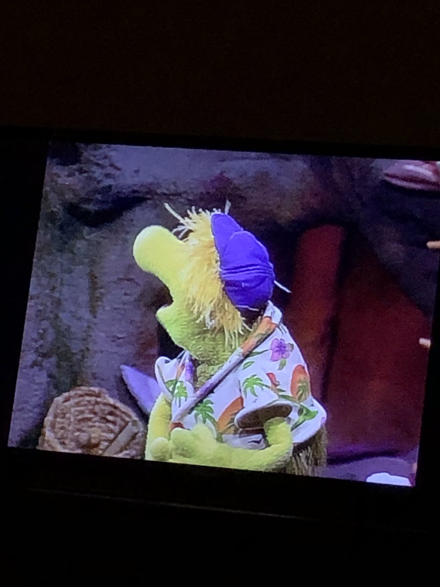 PrincessMuppet's tweet photo. Wembley in his little purple hat HE’S SO CUTE 💜 https://t.co/ps4bKGDNd6