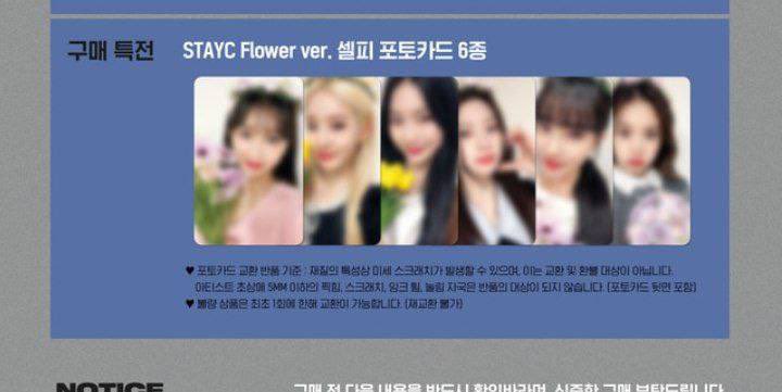 mintsunoo GO tweet media