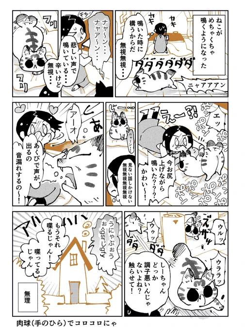 3本足のしじみちゃん165 