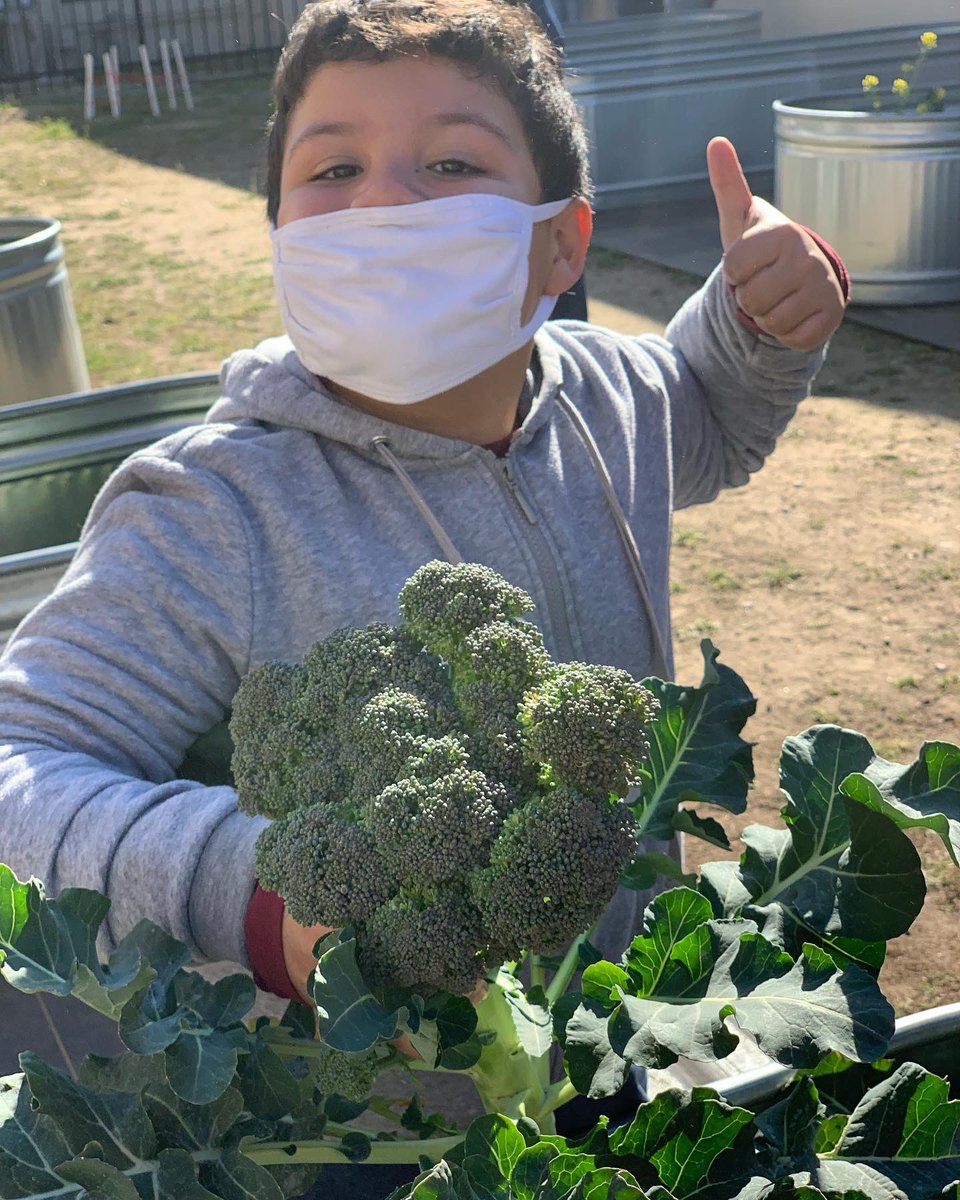 TUSDFarm's tweet photo. A fun day in the garden at Wakefield!  Tasting and learning about their vegetables they grew… https://t.co/hJDFTEdjXF
