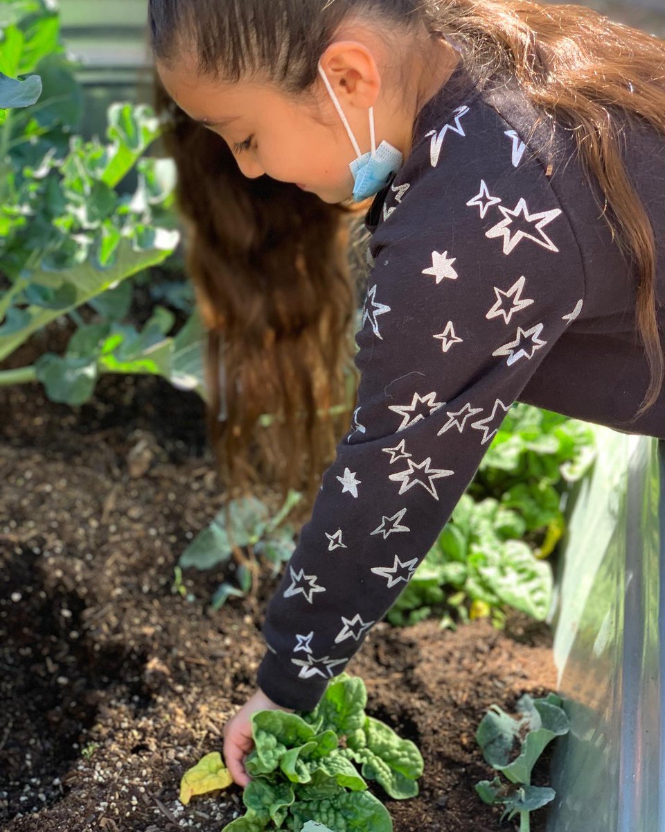 TUSDFarm's tweet photo. A fun day in the garden at Wakefield!  Tasting and learning about their vegetables they grew… https://t.co/hJDFTEdjXF