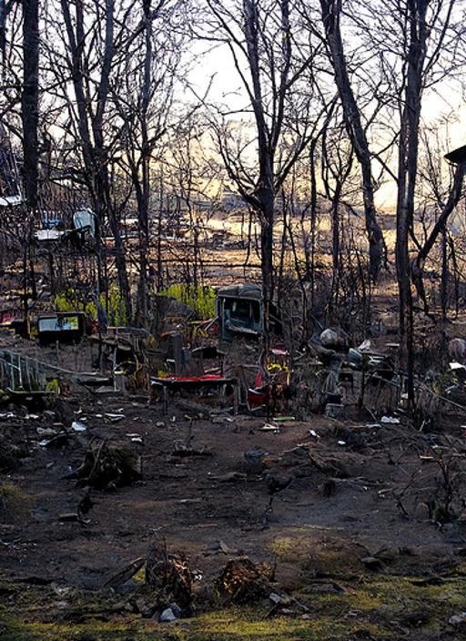 shmitdawg's tweet photo. "Post apocalyptic wonderland" - made with @NightCafeStudio 

https://t.co/NYkPDMSZP3

#aiart #nightcafe #digitalart https://t.co/NYkPDMSZP3 https://t.co/qbyWYuCaye