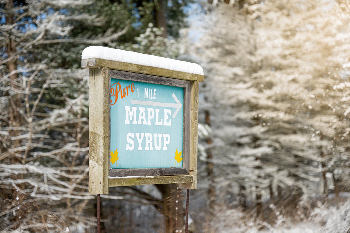Saugatuck's tweet photo. Weekend pancakes and waffles taste better in the #ArtCoastofMichigan. https://t.co/cPfFMLn2bH
#SaugatuckDouglas #PureMichigan #foodietravel #diningdestination https://t.co/OjvQBi5Xlo