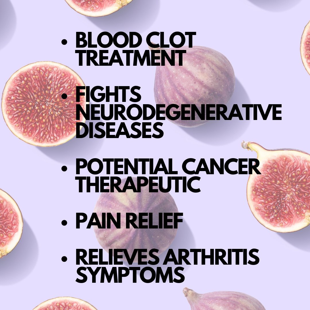 bevividyou's tweet photo. Our team did the research so you don't have to. 
Rutin can be found in foods like apples, figs, and buckwheat. It's a powerful antioxidant that helps protect your immune system. Most people's minds are blown when they discover all the health benefits of rutin. https://t.co/XxsmlxcI1O