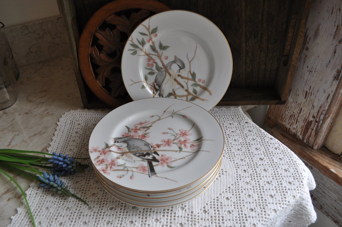 Excited to share the latest addition to my #etsy shop: Vintage Fitz and Floyd 'Birdsong' Salad Desert Plates Set of 6 etsy.me/3MJQkq0 #white #gold #ceramic #fitzandfloyd #birdsongpattern #vintagefitzfloyd #vintagechina #chinasaladplates #colescottagecreation