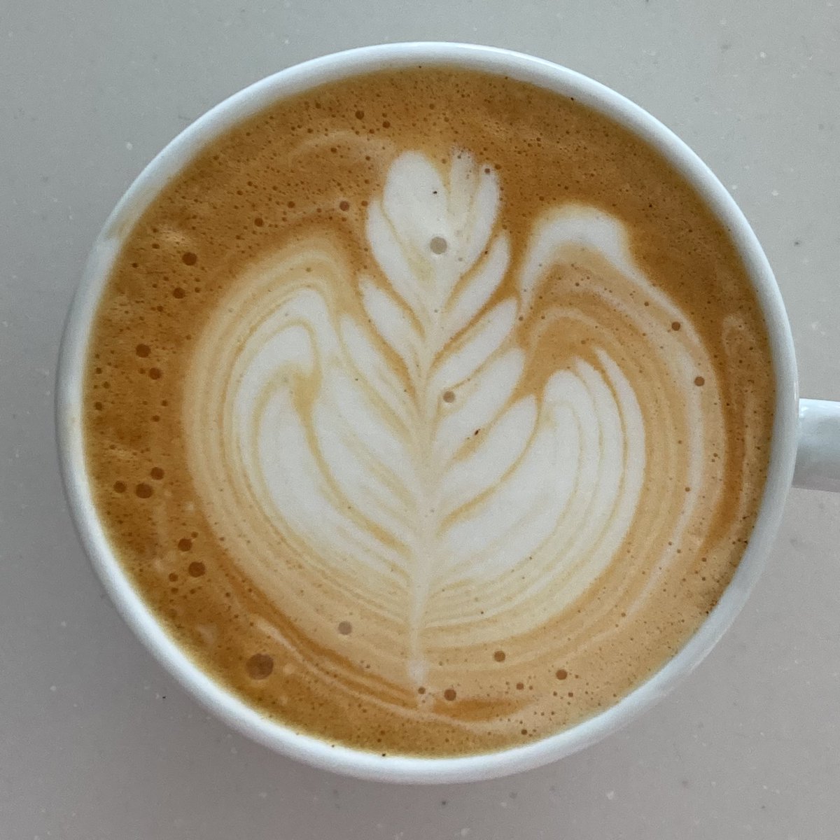 _is_stay's tweet photo. | ̄ ̄ ̄ ̄ ̄ ̄ ̄ ̄ ̄ ̄ ̄|
| 本日のラテアート練習 |
|__________________|
(\__/) || #ラテアート #フリーポア
(•ㅅ•) || #ラテアート練習中 #decaf
/ づ #redespresso
今日は久々にルイボスティーラテです😊 https://t.co/2xdqENSFkA