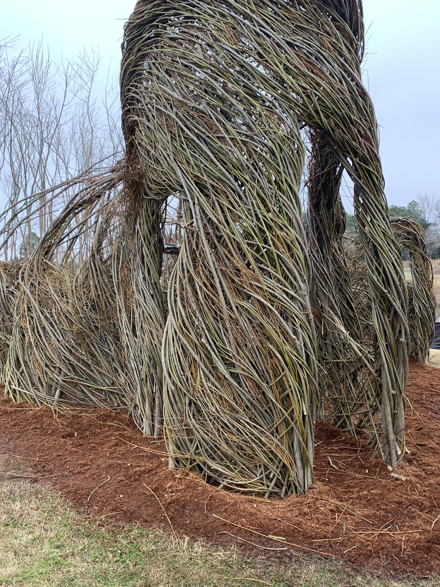 brimfeld's tweet photo. Volunteering in #carync at #patrickdougherty #artinstallation https://t.co/V5aGmWZ8th