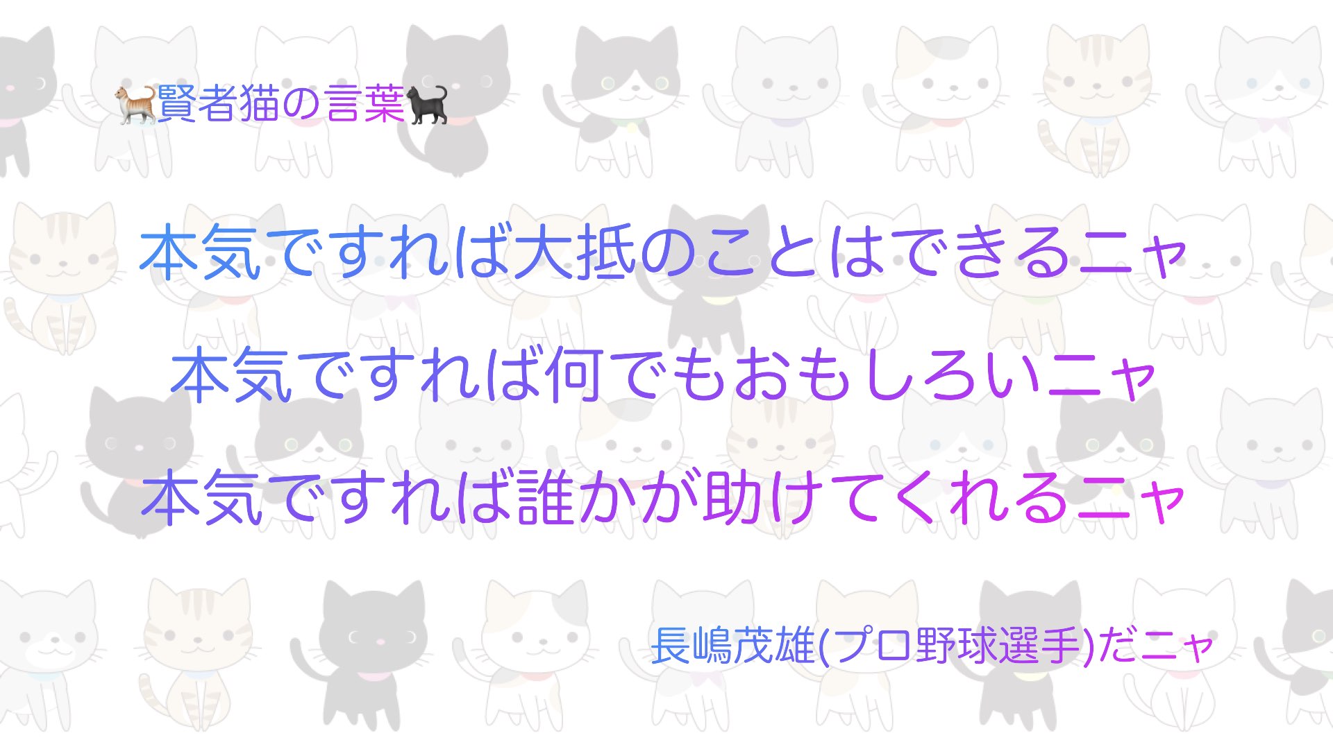 猫 賢者猫の言葉 名言 Philosophers Ca Twitter