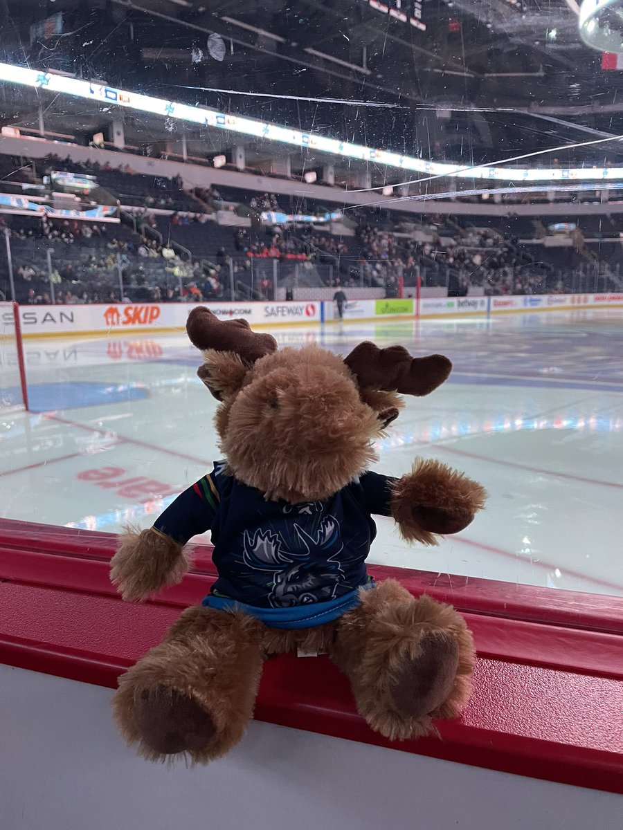sylviefortier01's tweet photo. #GoMooseGo @ManitobaMoose https://t.co/llIbCEjTKN