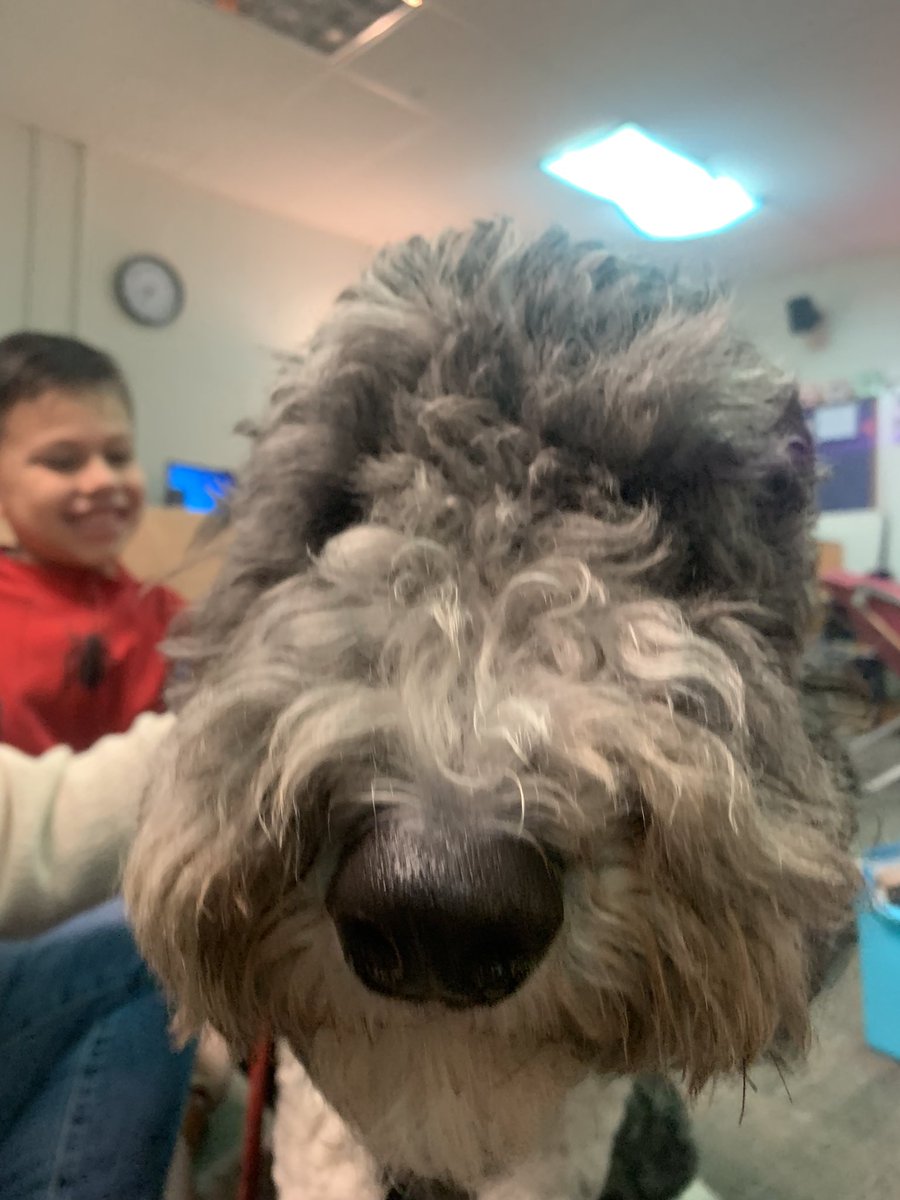 Teddy Turns One! Starting his Birthday Weekend off reading with students and celebrating their accomplishments! <a href="/DeerwoodPta/">Deerwood Elementary PTA</a> <a href="/HumbleISD_DWE/">Deerwood Elementary</a>