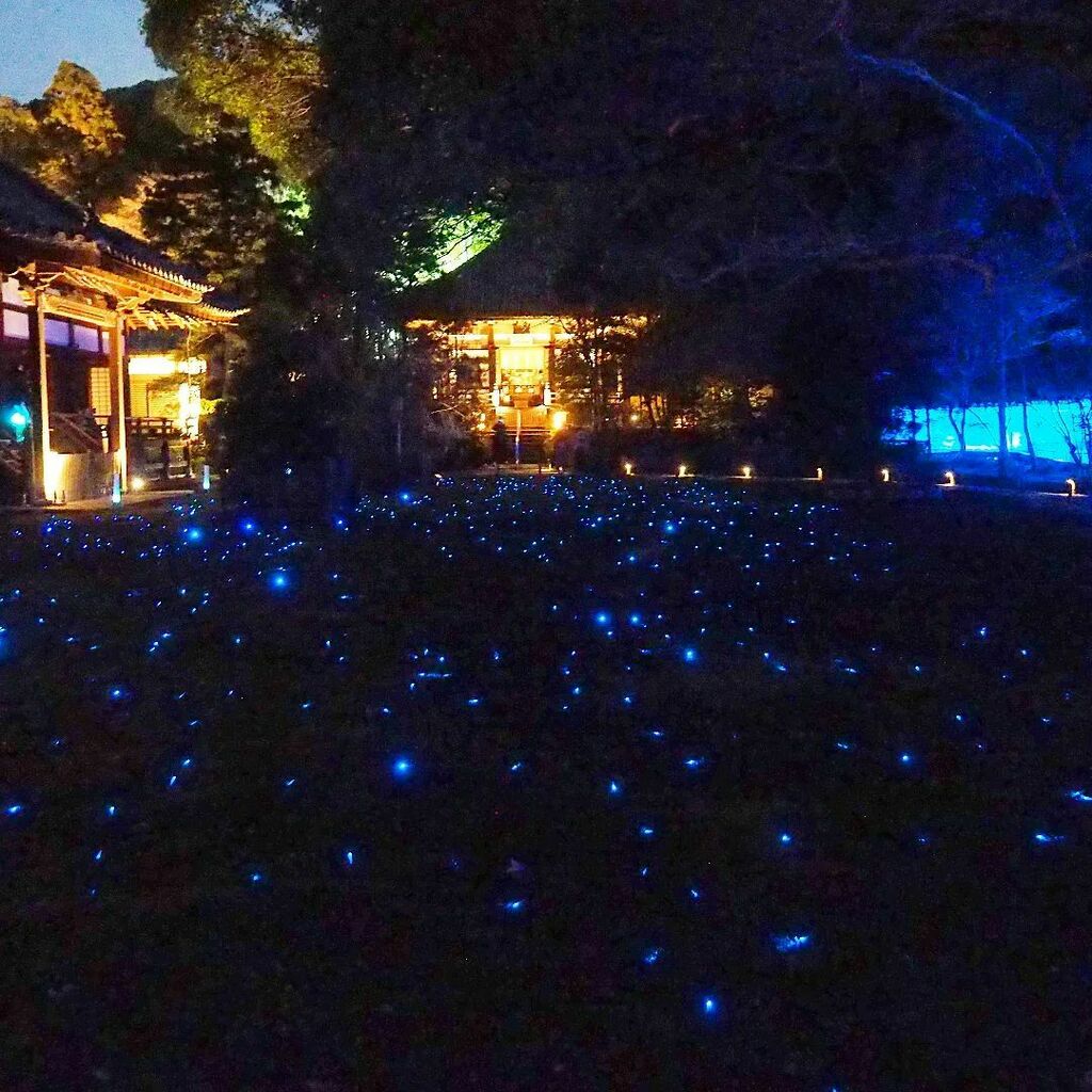 landfes_web's tweet photo. #東山花灯路 #東山花灯路2022 #青蓮院 #青蓮院門跡 #京都 #kyoto #オリンパス #olympus #olympusomdem10 #omdem10 #omd #em10 #microfourthirds #2022 https://t.co/3TPgZ9TMcj https://t.co/5YBaZwlUp3