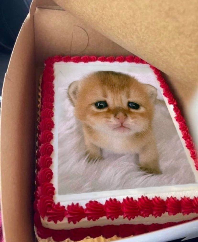 apandeez's tweet image. 