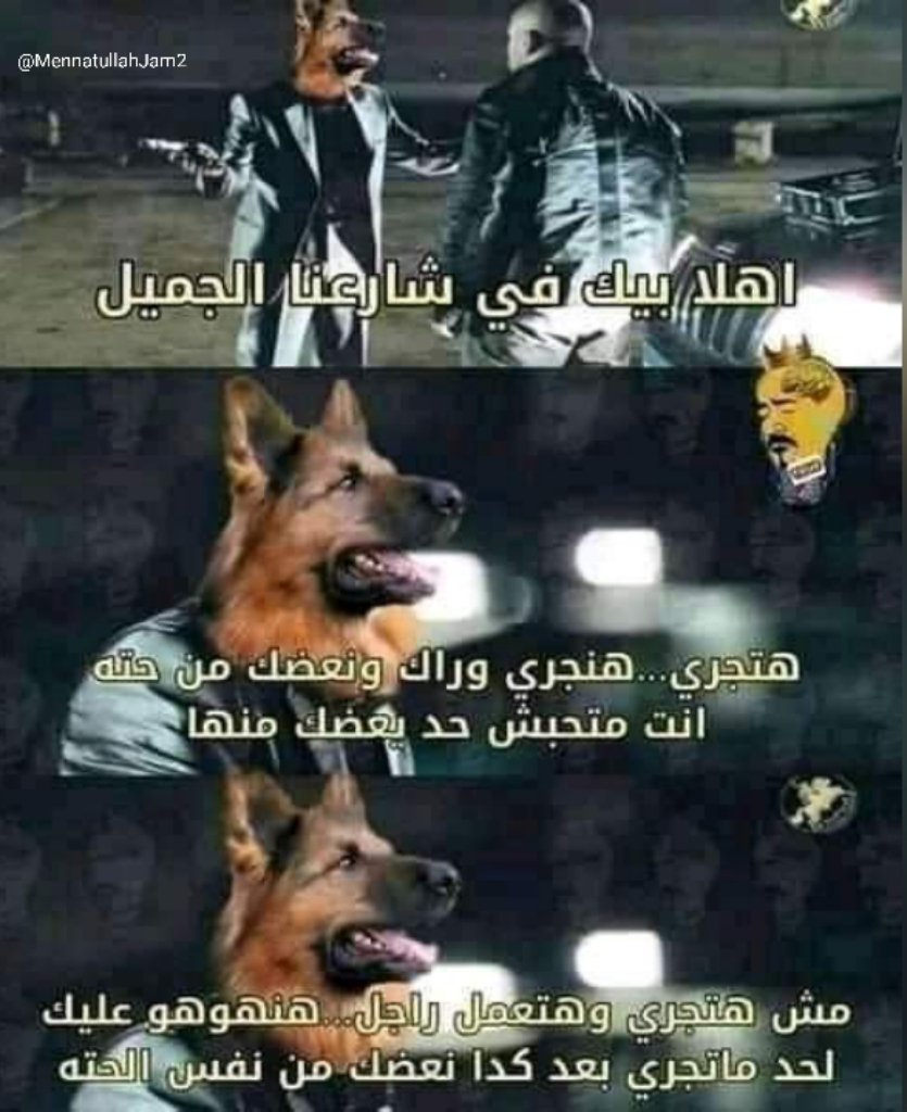 MennatullahJam2's tweet photo. لما امشي من شارع فيه كلاب https://t.co/u76R5Z47UO