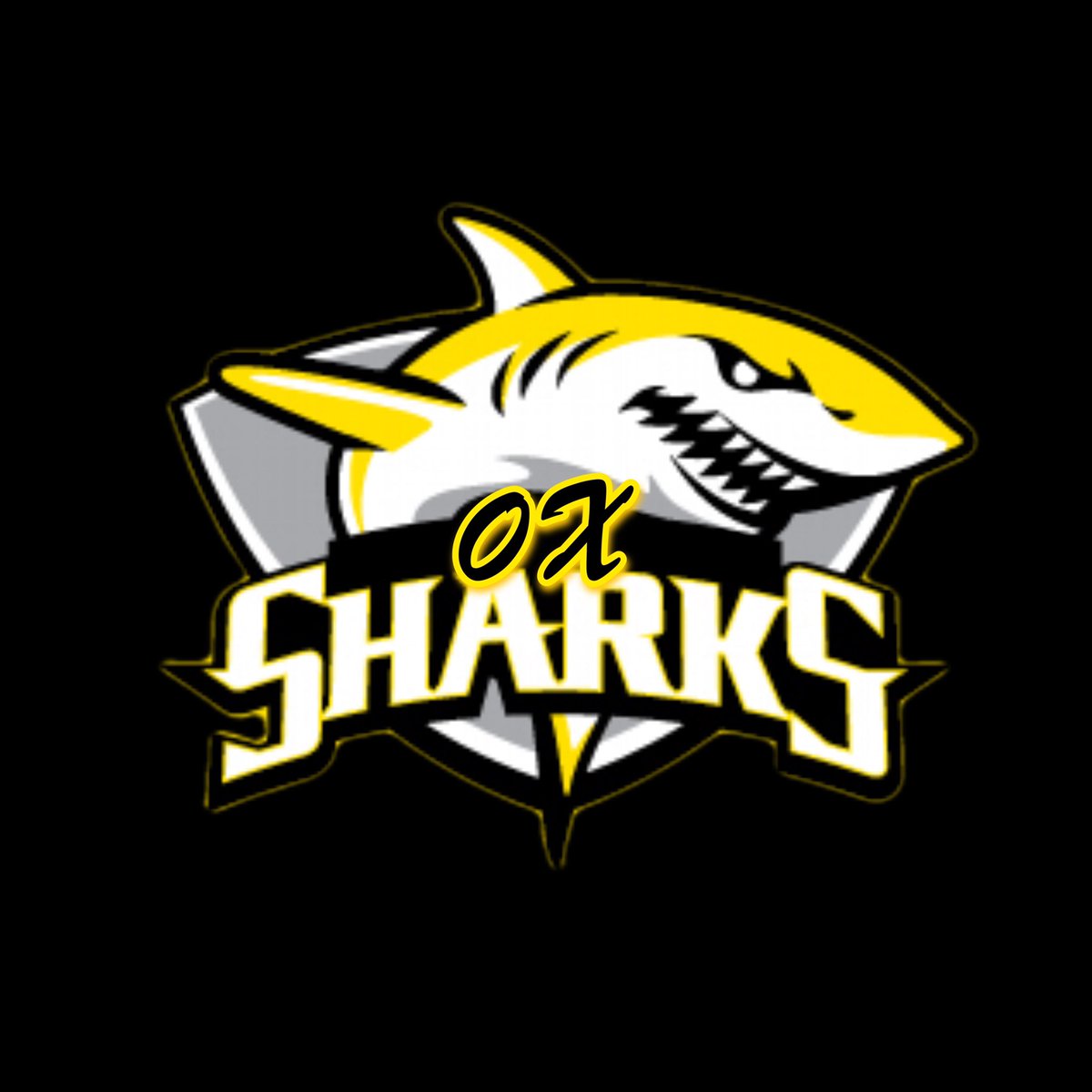0xsharksss's tweet photo. WE LOVE THE NFT CHUMMUNITY! TWITTER SPACE AT 7PM! 
TURN OUR NOTIFICATIONS ON!
🦈🦈🟨🗣 #0xSharks #WAGMI #SpaceTonight #SharksAssemble https://t.co/DOsX8X0o8t