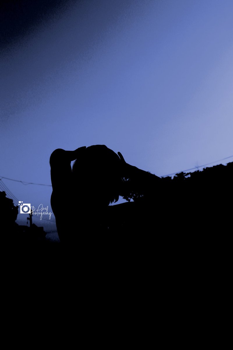 GoaPhotography tweet picture
