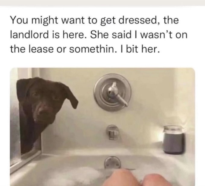 😂 https://t.co/rA5cRi8YPD<a href="/tag/tribal"class="tags"><span>#tribal</span></a>