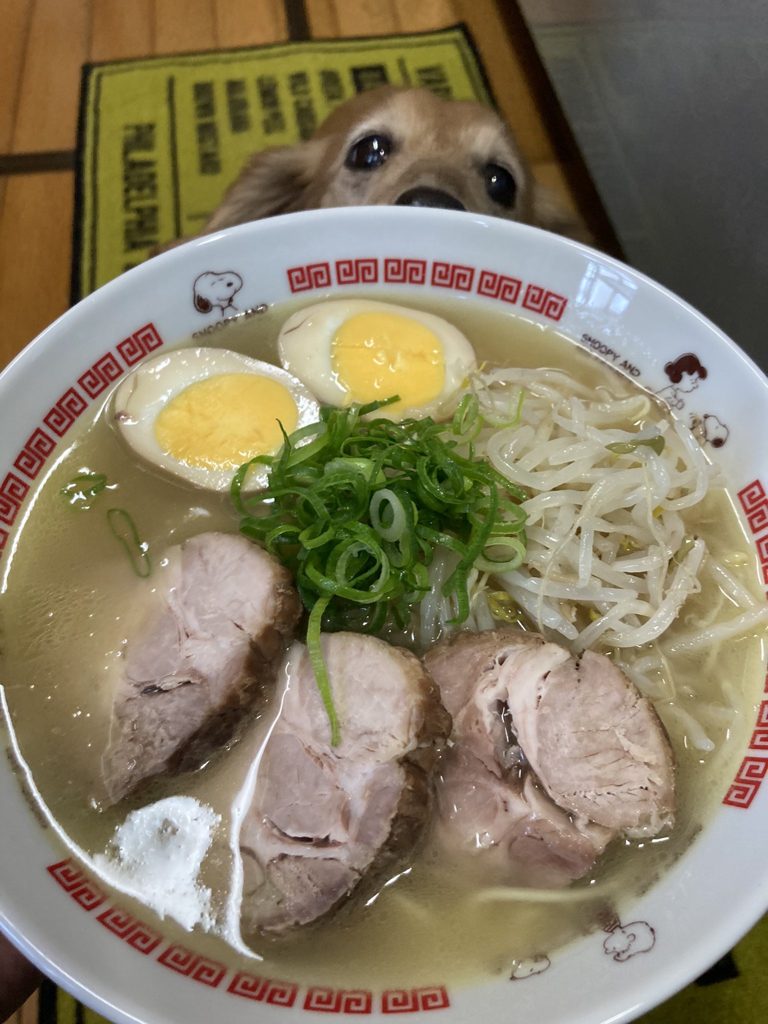 Orlando Dachsun ハーフタイムで ラーメン 作って食べるrta は失敗 食べ終わらない に終わる ただ自家製チャーシュー含みラーメン は美味しかったもよう ご飯 ダックス 犬 T Co Yfnl1aj7ky Twitter