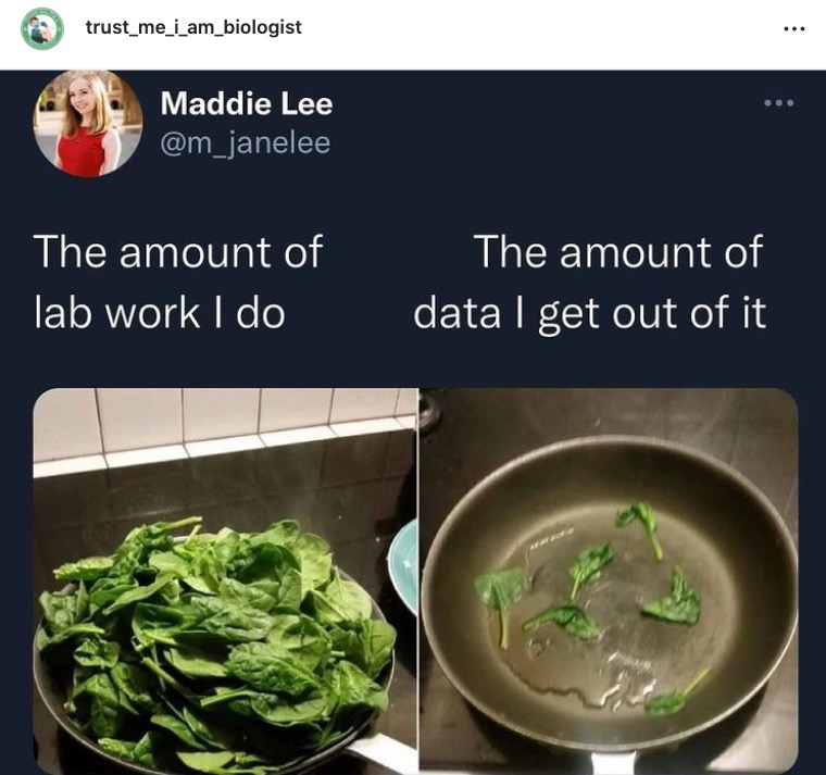 smokinscientist's tweet photo. LOL. It's even worse when the d*mn experiment does not work and you have to do it all over again. As a matter of fact, I'm going to saute some spinach for this week's meal prep.
.
#biomedicine #phdlife #blackincancer #phdvoice @TrustBiologist #kosphd https://t.co/k61zIUSJb8