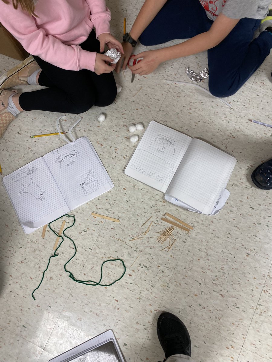 FCPS_SWilson's tweet photo. 3rd Grade scientists were busy this week constructing nests to keep their babies safe and observing their plants begin to germinate! @CMESLions @FCPS_CMES_AP @PrincipalRfcps https://t.co/W0W8LFUFjD
