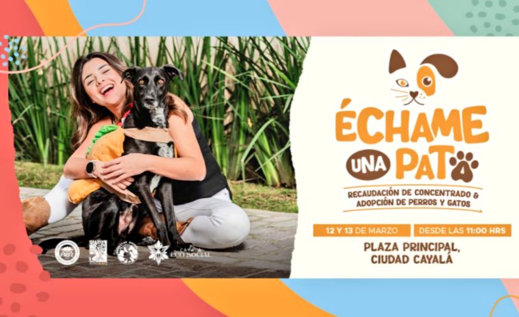 cdmascotas's tweet photo. #ÉchameUnaPata🐾

#AmigosCDM #AdoptaNoCompres #AyudaSinJuzgar https://t.co/couDNW7nIm