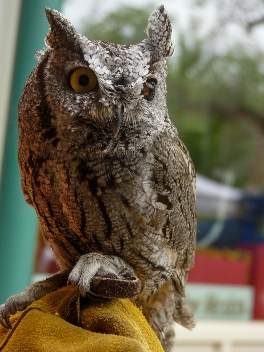 NewMexicoNomad tweet media