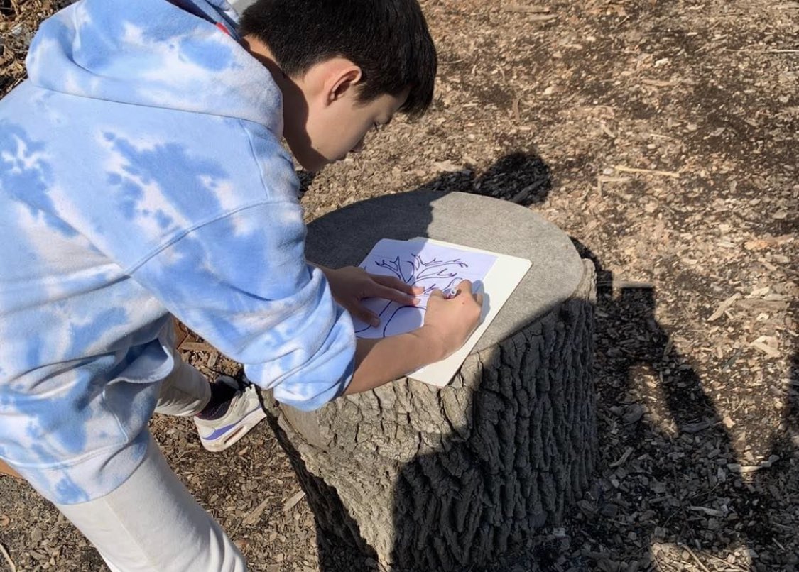 unitycharter's tweet photo. Some more photos from our #SELday celebration! Buddy classes collaborated to explore the importance of our social emotional learning. #SEL #unitywolves @SECDLab @DrJB__ @NJPCSA @CharacterDotOrg https://t.co/yiREIXeSRx