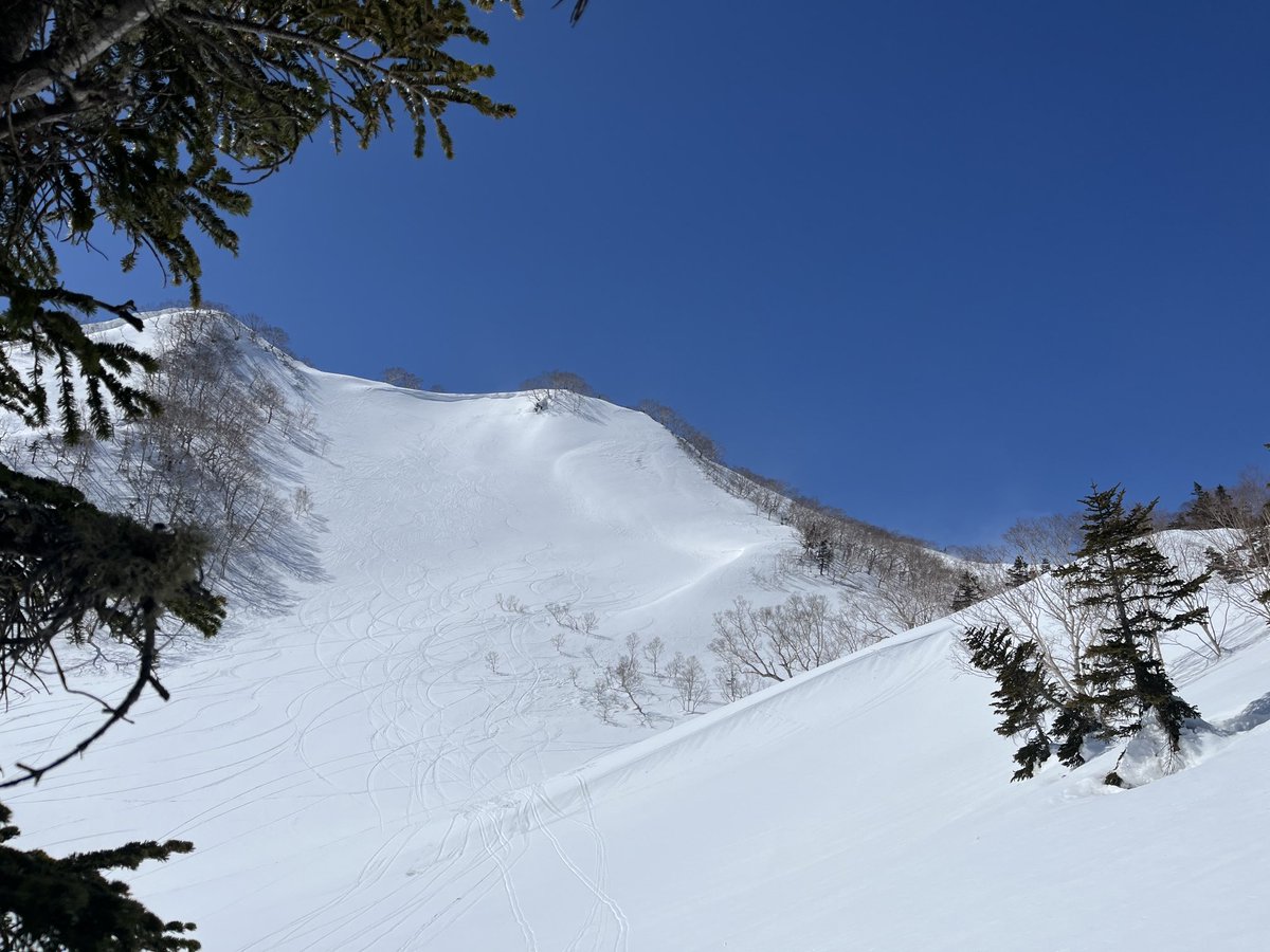 YSD_S7's tweet photo. まずは裏天から。 https://t.co/SSULDW38XI
