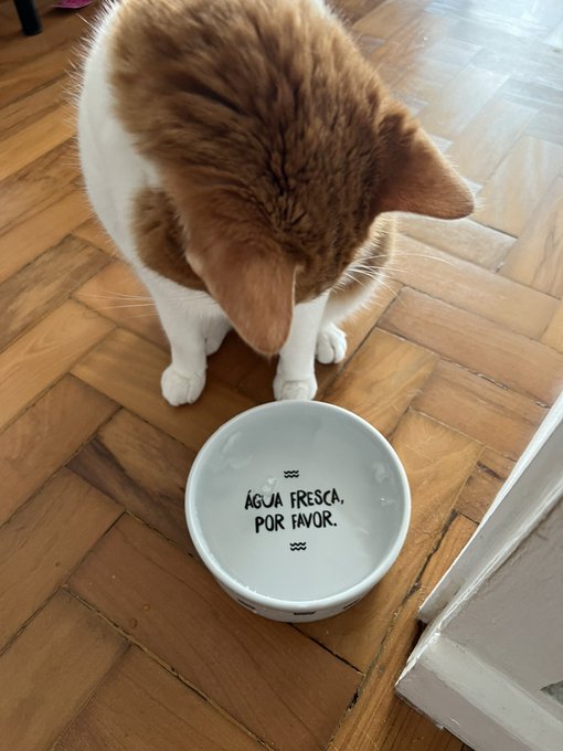 @gatinarios https://t.co/1FaB0j7s4O<a class="tags" target="_blank" title="On Twitter" href="/?out=eyJ0eXAiOiJKV1QiLCJhbGciOiJIUzUxMiJ9.eyJpYXQiOjE3MjE4NTY4NjgsImlzcyI6InR3cG9ybnN0YXJzLmNvbSIsIm5iZiI6MTcyMTg1Njg2OCwiZXhwIjoxNzUzMzkyODY4LCJyZWRpcmVjdF91cmwiOiJodHRwczovL3R3aXR0ZXIuY29tL2dhdGluYXJpb3MifQ.UW1v77Aj5r0EdZy-v7MuMBX4uMQ-FhYlTHueMER9AyKkk0i45TduRse16XfYBsORq1WCZZnRfGi3tKuE0Wr0pQ">@gatinarios</a><a href="/tag/godofwar"class="tags"><span>#godofwar</span></a>