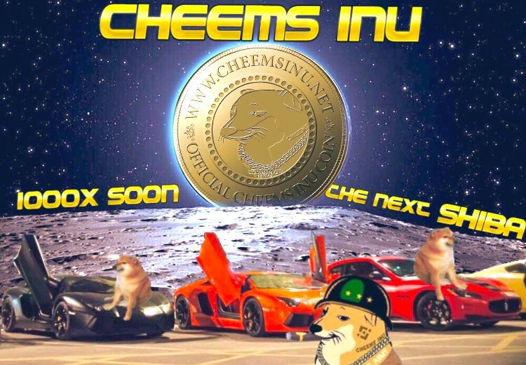 lambosoonexpert's tweet photo. #CheemsisTheNextShib 
THE NEXT SHIBA IN BINANCE SC
🔥🔥🔥🔥🔥🔥🔥🔥🔥🔥🔥 https://t.co/FzYf1GLXpU