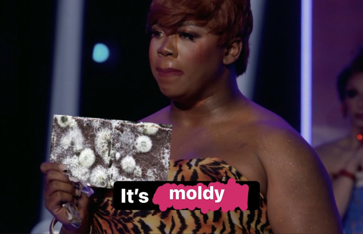 joeynolfi's tweet photo. Next week’s eliminated queen opening her chocolate bar after 7 consecutive years without an elimination:

#DragRace https://t.co/CtL4vkUwOq