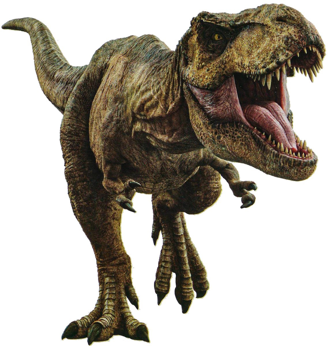 LegadoJurassico's tweet photo. Renders #JurassicWorldDominion

@wsepulved32 @JurassicOutpost https://t.co/9b3CT8b8YT