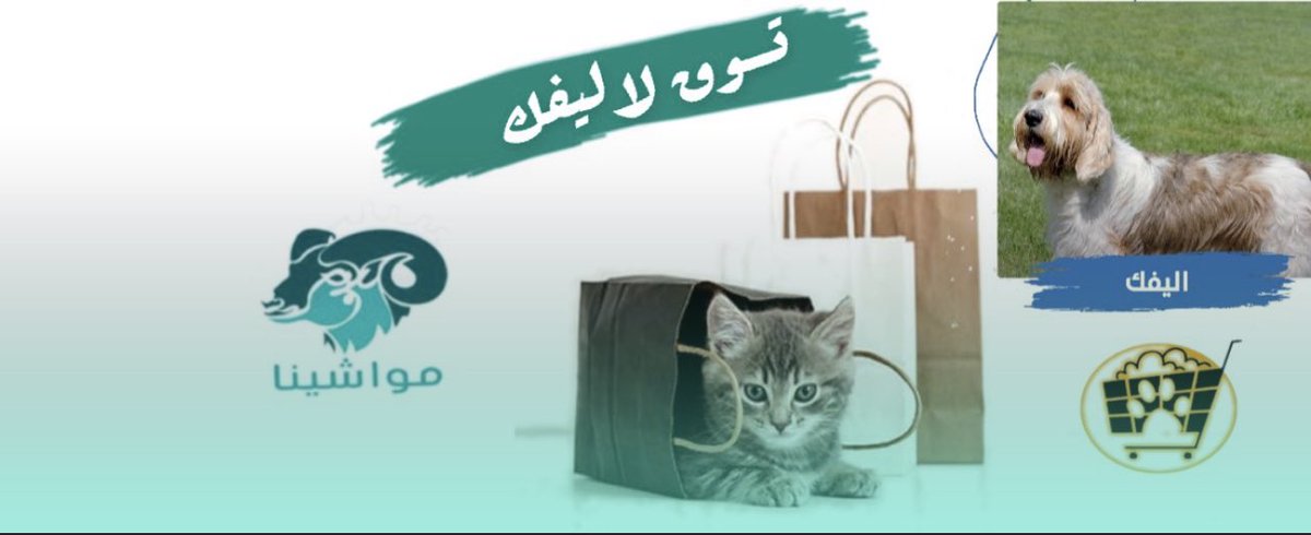 mawashina1's tweet photo. ما عليك إلّا تختار وتتسوق لأليفك  بتكّة 🚀🤳🤩
وتجيكم المنتجات وإنتوا مرتاحيييين 🤳🏼🤩

#متجر_مواشينا 💙⏳

🔗 : https://t.co/IaMiV7kzDt https://t.co/Zq5hTPbwar