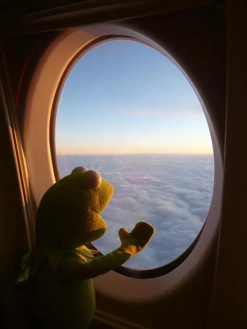 azl0u's tweet photo. *in an airplane*

Me, always: https://t.co/GncvOYZeFi
