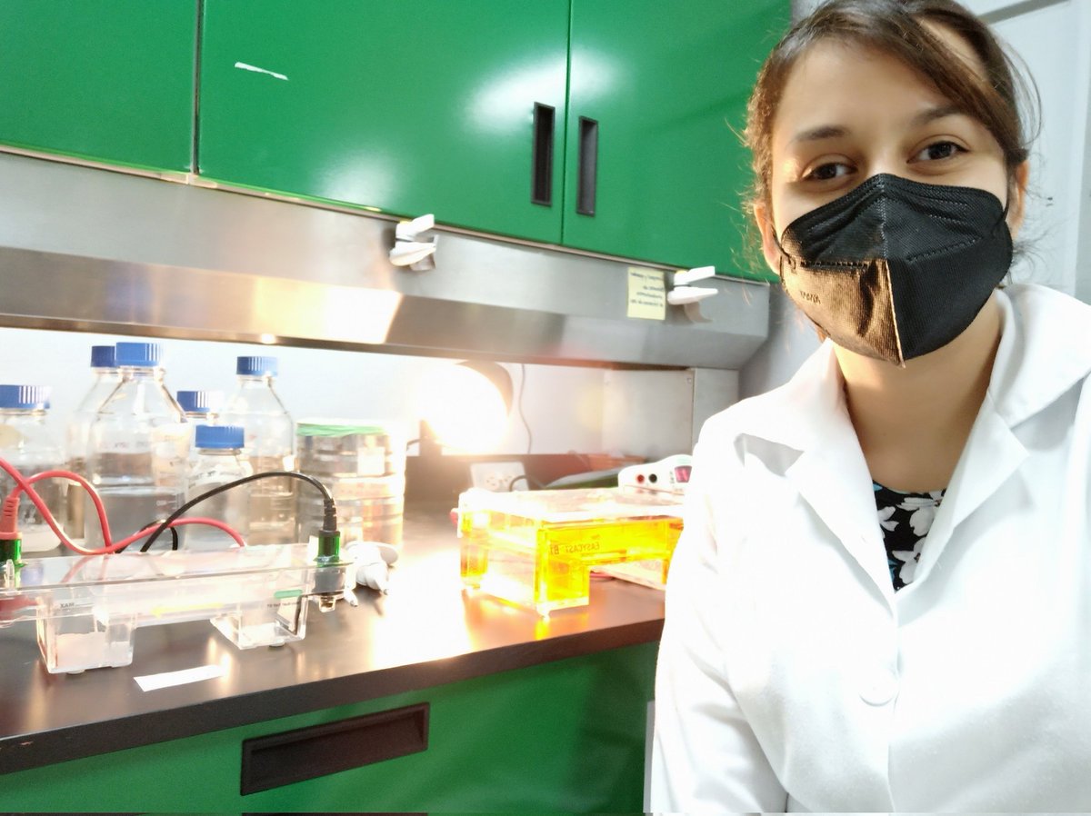 SaribelZilli's tweet photo. Aveces pensamos que no somos capaces de lograr cosas, nada nos puede asegurar que el camino será fácil y que ya no cometeremos más errores, pero la cuestión es no rendirse. El laboratorio me ha enseñado a conocer más de mi 😊💜Saribel👩🏻‍🔬💫 https://t.co/hEYRHJDFOJ