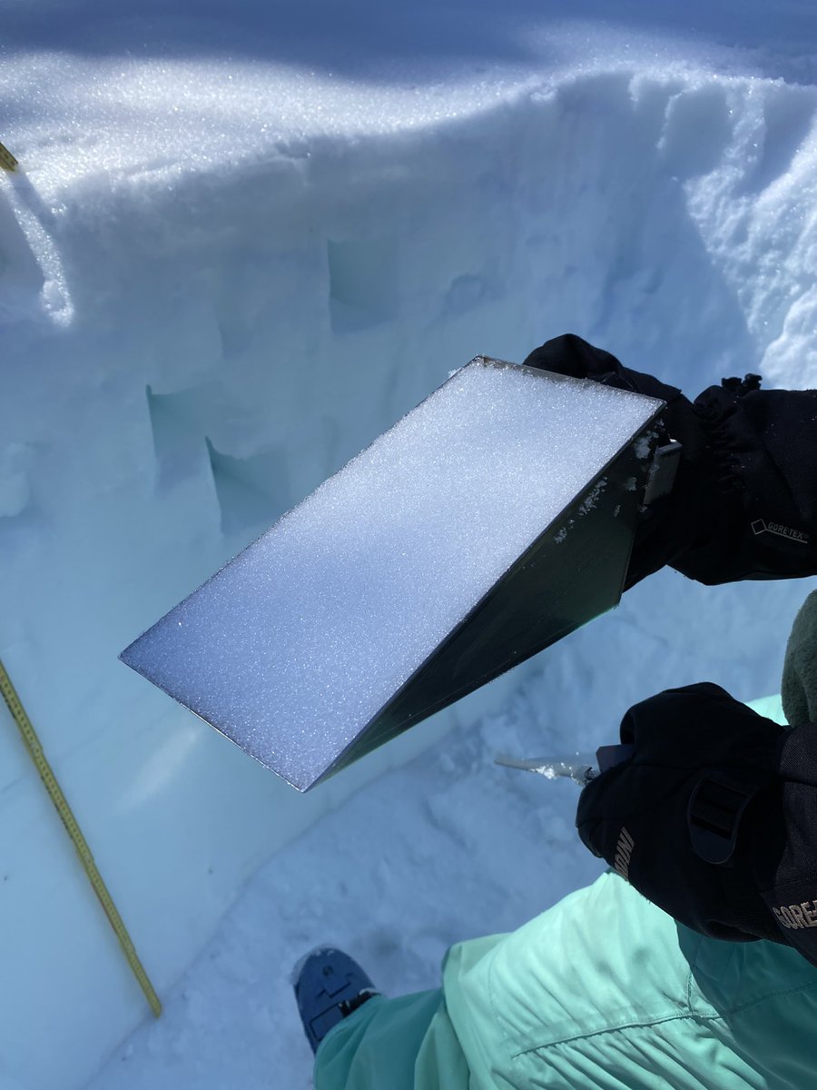 jack_tarricone's tweet photo. Spent the day at @SagehenCreekFS collecting snow depth and density data for the @airbornesnow flight in the Truckee River basin yesterday. Spring is upon us in the Sierra.

@crpiske @snownolin @NV_Mtn_Ecohydro https://t.co/svhlvXQcTw