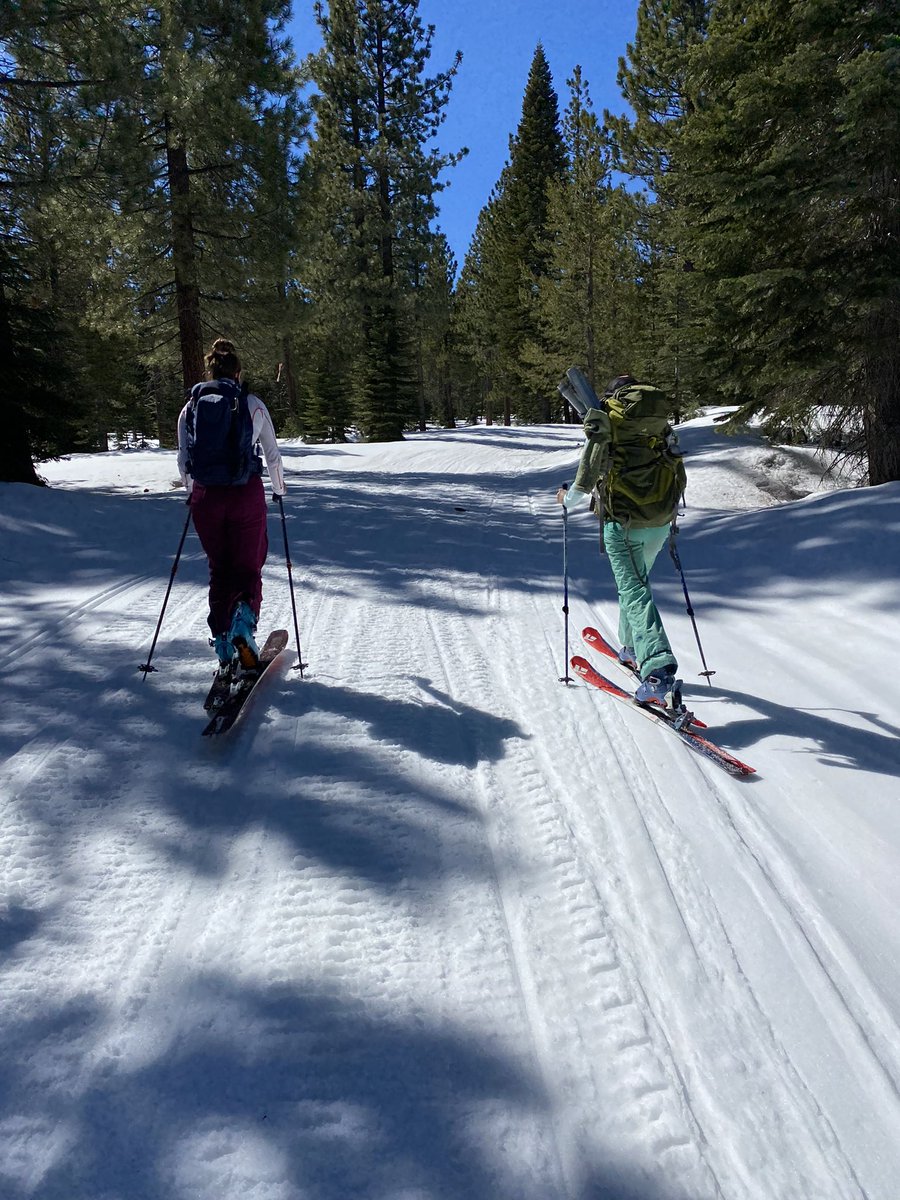 jack_tarricone's tweet photo. Spent the day at @SagehenCreekFS collecting snow depth and density data for the @airbornesnow flight in the Truckee River basin yesterday. Spring is upon us in the Sierra.

@crpiske @snownolin @NV_Mtn_Ecohydro https://t.co/svhlvXQcTw